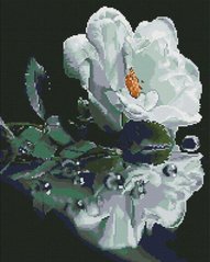 Алмазная картина Белая роза ColorArt (CLR-SP123, Без подрамника) фото интернет-магазина Raskraski.com.ua