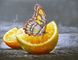 Алмазная мозаика Бабочка на апельсине ТМ Алмазная мозаика (DMF-180, На подрамнике) — фото комплектации набора
