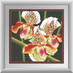 Алмазная вышивка Хищная орхидея (квадратные камни, полная зашивка) Dream Art (DA-30411, Без подрамника) фото интернет-магазина Raskraski.com.ua
