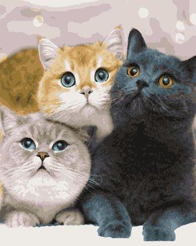 Картина за номерами Котейки (ART-B-4203) Artissimo 40 х 50 см