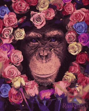 Картини за номерами Шимпанзе (BK-GX36041) (Без коробки)