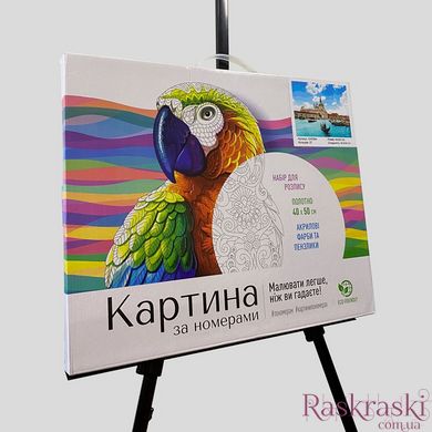Картина за номерами Качки біля хатини (BRM45520) фото інтернет-магазину Raskraski.com.ua