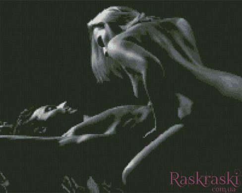 Картина мозаика Ночь двоих (40 х 50 см) Dream Art (DA-31545, Без подрамника) фото интернет-магазина Raskraski.com.ua