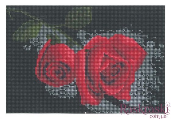 Алмазна вишивка Червона троянда Алмазна мозаіка (OSC024) фото інтернет-магазину Raskraski.com.ua