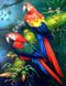 Алмазная мозаика Яркая пара попугаев My Art (MRT-TN531, На подрамнике) — фото комплектации набора