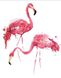 Картина по номерам Фламинго (BK-GX3771) (Без коробки)