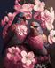 Живопись по номерам Романтические птицы (NIK-N376) — фото комплектации набора