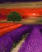 Раскраска для взрослых Закат над лавандой (BRM32959) — фото комплектации набора