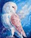 Картина по номерам Белая сова (AS1022) ArtStory — фото комплектации набора