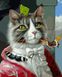 Полотно для малювання Його величність кіт (VP1393) Babylon — фото комплектації набору