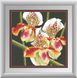 Алмазная вышивка Хищная орхидея (квадратные камни, полная зашивка) Dream Art (DA-30411, Без подрамника) — фото комплектации набора