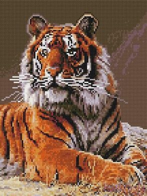 Алмазна вишивка Величний тигр Rainbow Art (EJ1031) фото інтернет-магазину Raskraski.com.ua