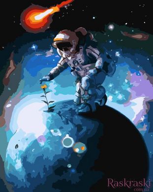 Картина по номерам Жизнь в космосе (BK-GX0004) (Без коробки)