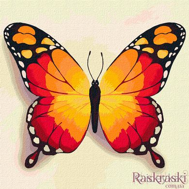 Раскраска по номерам Оранжевая бабочка (KHO4210) Идейка (Без коробки)