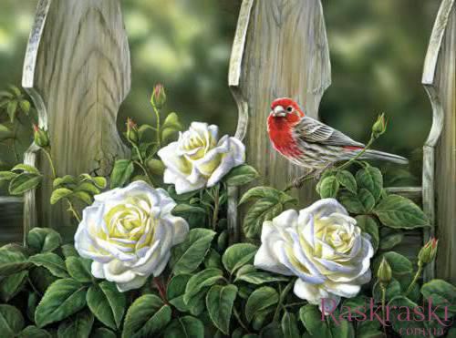 Набор алмазная мозаика Птица на садовых розах ТМ Алмазная мозаика (DMF-330, На подрамнике) фото интернет-магазина Raskraski.com.ua