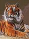 Алмазная вышивка Величественный тигр Rainbow Art (EJ1031, На подрамнике) — фото комплектации набора