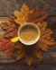 Живопись по номерам Осеннее какао (BRM37600) — фото комплектации набора