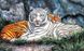 Картина алмазна вишивка Тигри на відпочинку ТМ Алмазная мозаика (DM-288) — фото комплектації набору