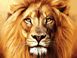 Картина по номерам Гордый лев (VK100) Babylon — фото комплектации набора