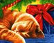 Раскраски по номерам Сонный кот (BRM30732) — фото комплектации набора