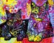 Картина по номерам Цветочные коты (VP1437) Babylon — фото комплектации набора