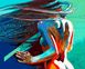 Картина раскраска Ветер в волосах (VP1185) Babylon — фото комплектации набора
