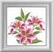 Картина из мозаики Розовые лилии (квадратные камни, полная зашивка) Dream Art (DA-30420, Без подрамника) — фото комплектации набора