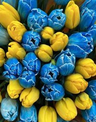 Картина мозаика Желто-синие тюльпаны My Art (MRT-TN1207, На подрамнике) фото интернет-магазина Raskraski.com.ua