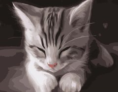 Раскраска для взрослых Сонный котенок (SR-DY191) Strateg (Без коробки)