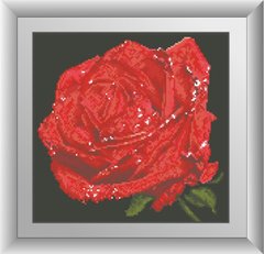 Алмазная мозаика Красная роза (квадратные камни, полная зашивка) Dream Art (DA-30525, Без подрамника) фото интернет-магазина Raskraski.com.ua