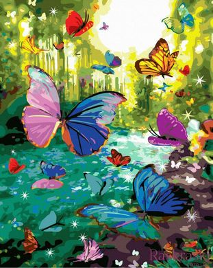 Картина Розмальовка Яскраві метелики (BRM34720) фото інтернет-магазину Raskraski.com.ua