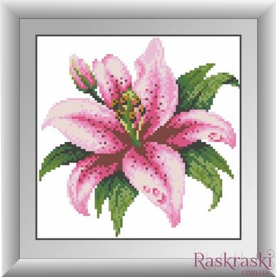 Алмазная мозаика Розовая лилия (полная зашивка, квадратные камни) Dream Art (DA-30285, Без подрамника) фото интернет-магазина Raskraski.com.ua