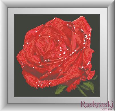 Алмазна мозаїка Червона троянда (квадратні камені, повна зашивання) Dream Art (DA-30525) фото інтернет-магазину Raskraski.com.ua