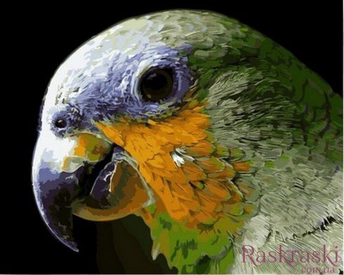 Картина по номерам Мятный попугай (MR-Q2157) Mariposa фото интернет-магазина Raskraski.com.ua