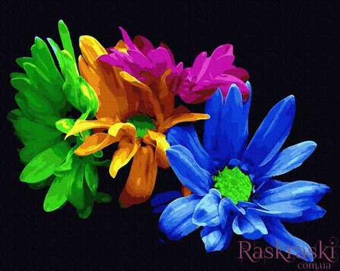 Холст для рисования Яркие хризантемы (BRM25177) фото интернет-магазина Raskraski.com.ua