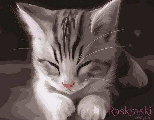 Раскраска для взрослых Сонный котенок (SR-DY191) Strateg (Без коробки)