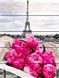 Розмальовка по номерах Півонії в Парижі (RA-GXT31855) Rainbow Art — фото комплектації набору