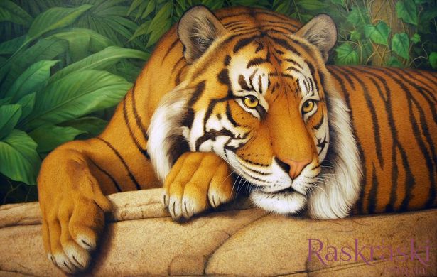 Картина з мозаїки Мудрий тигр ТМ Алмазная мозаика (DM-289) фото інтернет-магазину Raskraski.com.ua
