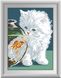 Алмазна вишивка Білий кошеня Dream Art (DA-30343) — фото комплектації набору