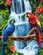 Набор алмазная мозаика Попугаи у водопада ТМ Алмазная мозаика (DM-332, Без подрамника) — фото комплектации набора