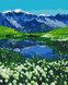 Картина по номерам Альпийские луга (BS39458) (Без коробки)