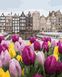 Живопись по номерам Цветы из Амстердама (BRM40785) — фото комплектации набора
