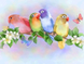 Алмазная мозаика Целующиеся попугаи ТМ Алмазная мозаика (DM-202, Без подрамника) — фото комплектации набора