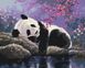 Картина по номерам Сладкий сон панды (BSM-B25108) — фото комплектации набора