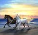 Картина из страз Стремительные лошади (ME20087) Диамантовые ручки (GU_188719, На подрамнике) — фото комплектации набора