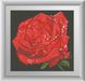 Алмазна мозаїка Червона троянда (квадратні камені, повна зашивання) Dream Art (DA-30525) — фото комплектації набору