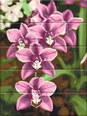 Картини за номерами Рожеві орхідеї (ASW227) ArtStory фото інтернет-магазину Raskraski.com.ua