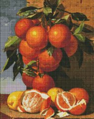 Алмазная живопись Апельсины и лимоны © Antonio Mensaque Идейка (AMO7246, На подрамнике) фото интернет-магазина Raskraski.com.ua