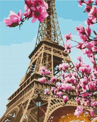 Раскраски по номерам Сакура в Париже (BS52836) (Без коробки)