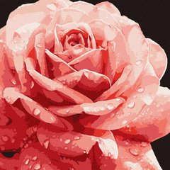 Малювання по номерам Досконала троянда ©art_selena_ua (KHO3236) Ідейка (Без коробки)
